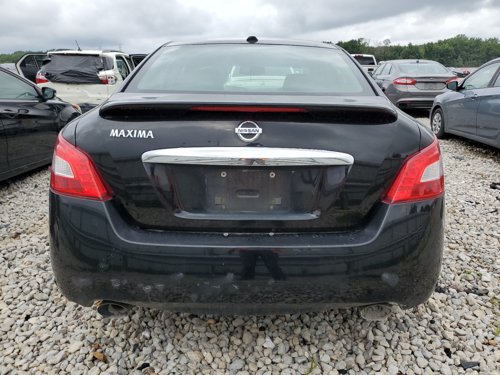 1N4AA51E69C819749 2009 Nissan Maxima S