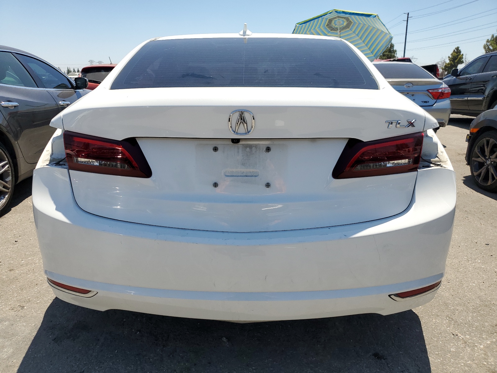 19UUB1F31GA013672 2016 Acura Tlx