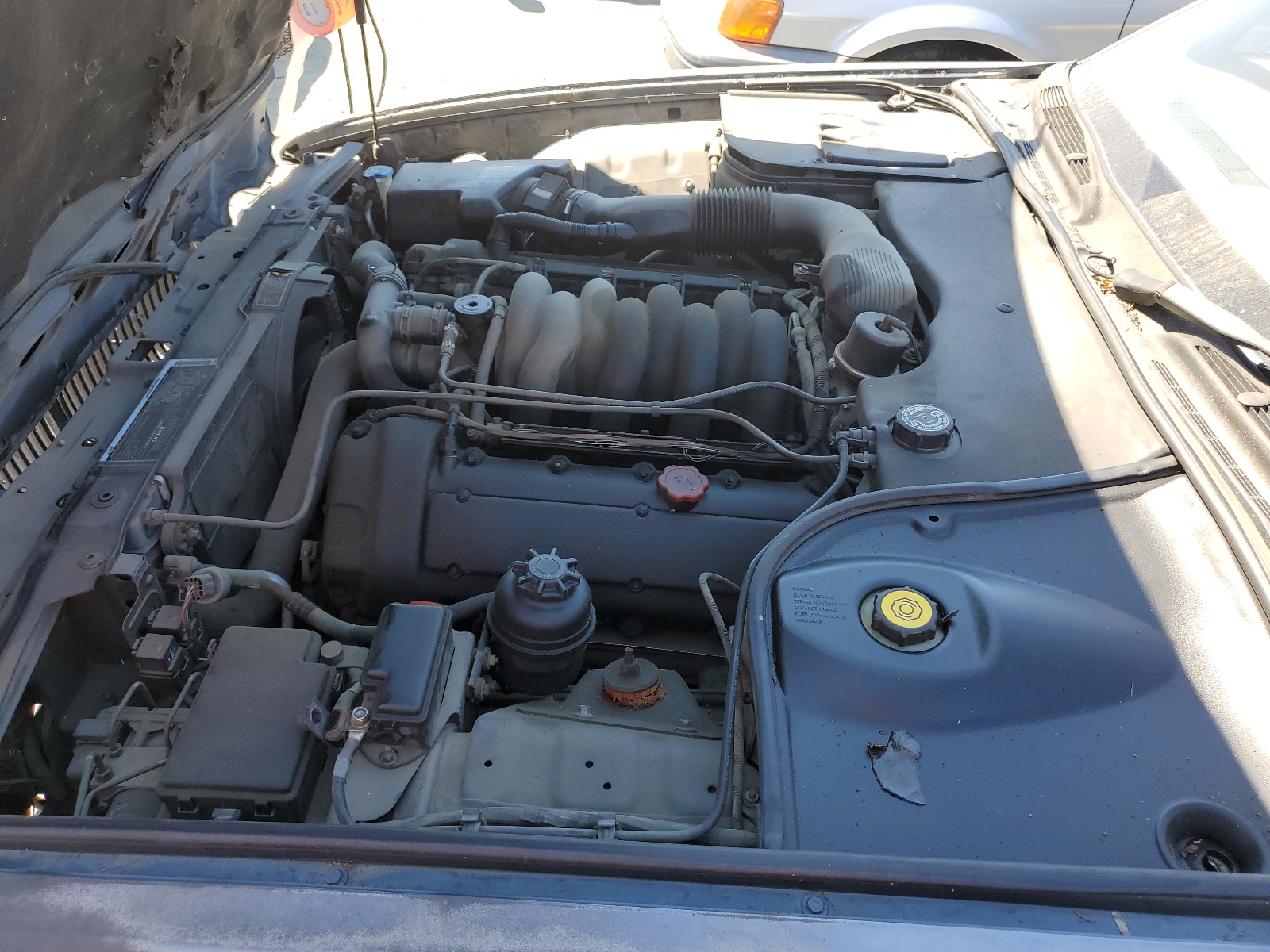 SAJHX1241WC832797 1998 Jaguar Xj8