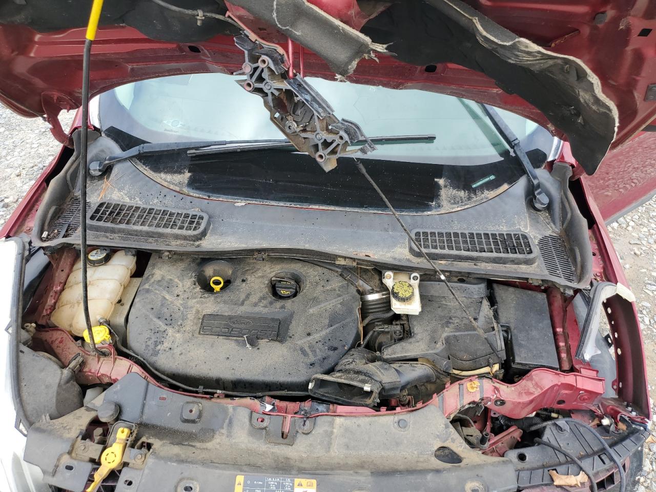 2013 Ford Escape Se VIN: 1FMCU0G98DUD35944 Lot: 61840394