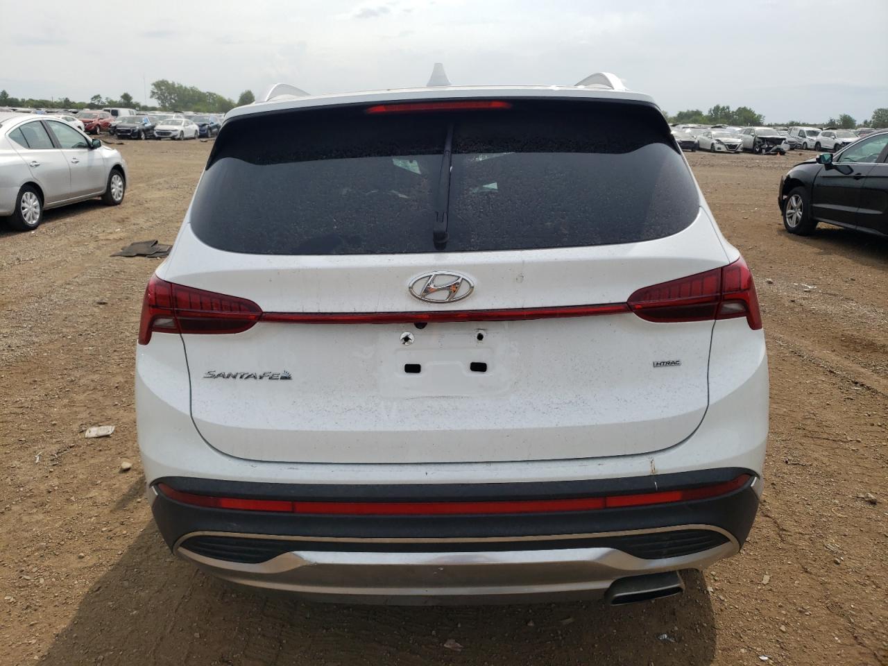 2021 Hyundai Santa Fe Sel VIN: 5NMS6DAJ1MH356338 Lot: 65560094