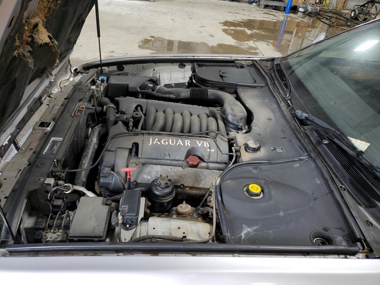 2001 Jaguar Xj8 VIN: SAJDA14C4YLF14960 Lot: 63613344