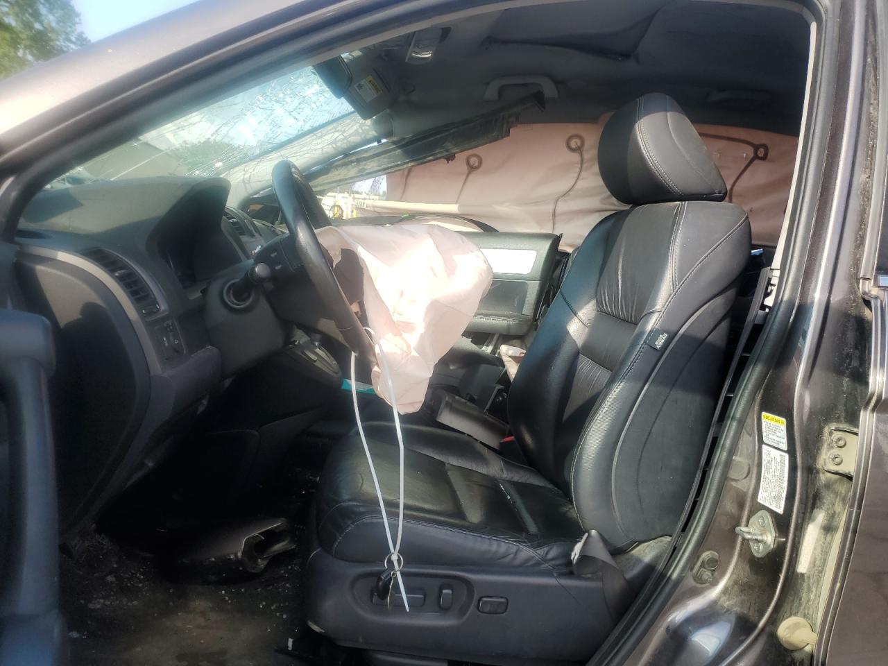 2010 Honda Cr-V Exl VIN: 5J6RE4H77AL062782 Lot: 64360304