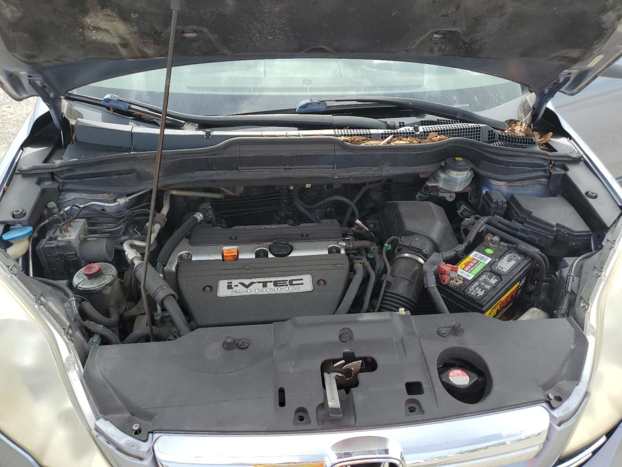 2008 Honda Cr-V Exl VIN: JHLRE48748C062371 Lot: 62414574