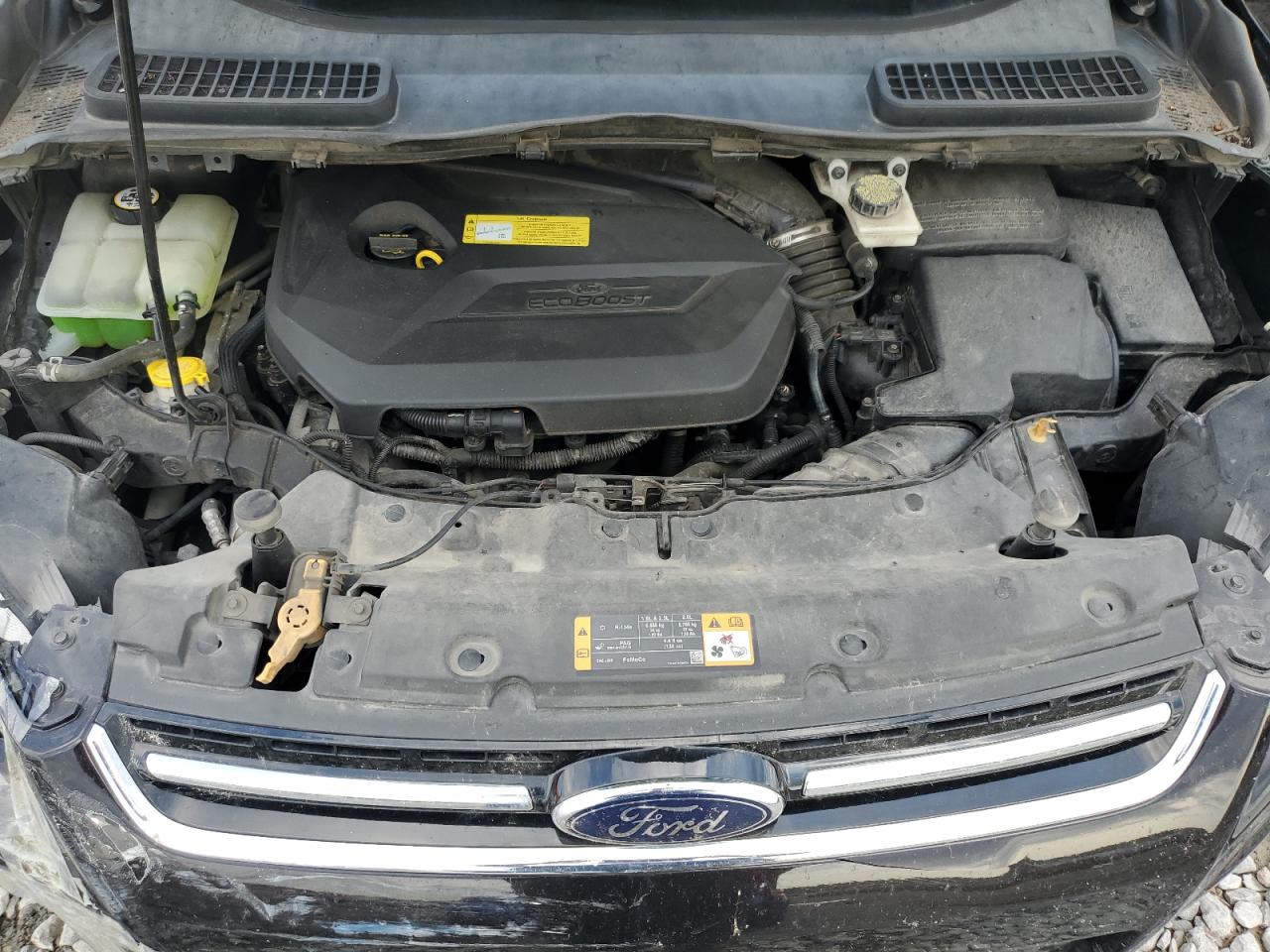 2013 Ford Escape Sel VIN: 1FMCU0HX8DUB69163 Lot: 62723904