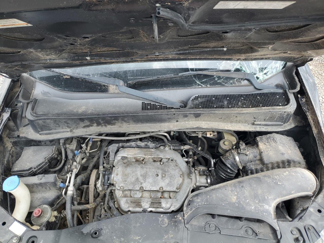 2009 Honda Pilot Exl VIN: 5FNYF38689B005859 Lot: 63132914