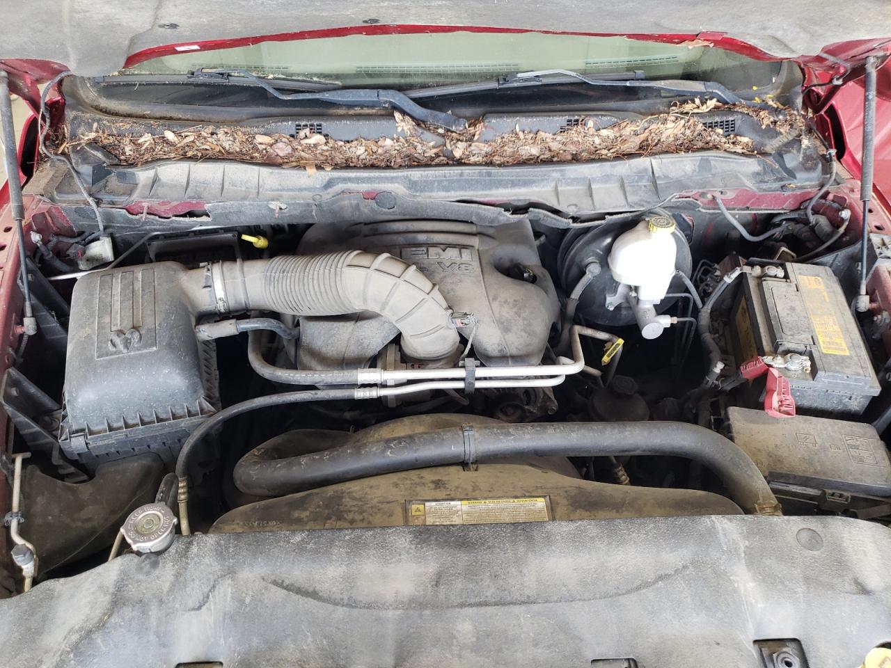 2010 Dodge Ram 1500 VIN: 1D7RV1CT2AS170683 Lot: 61836714