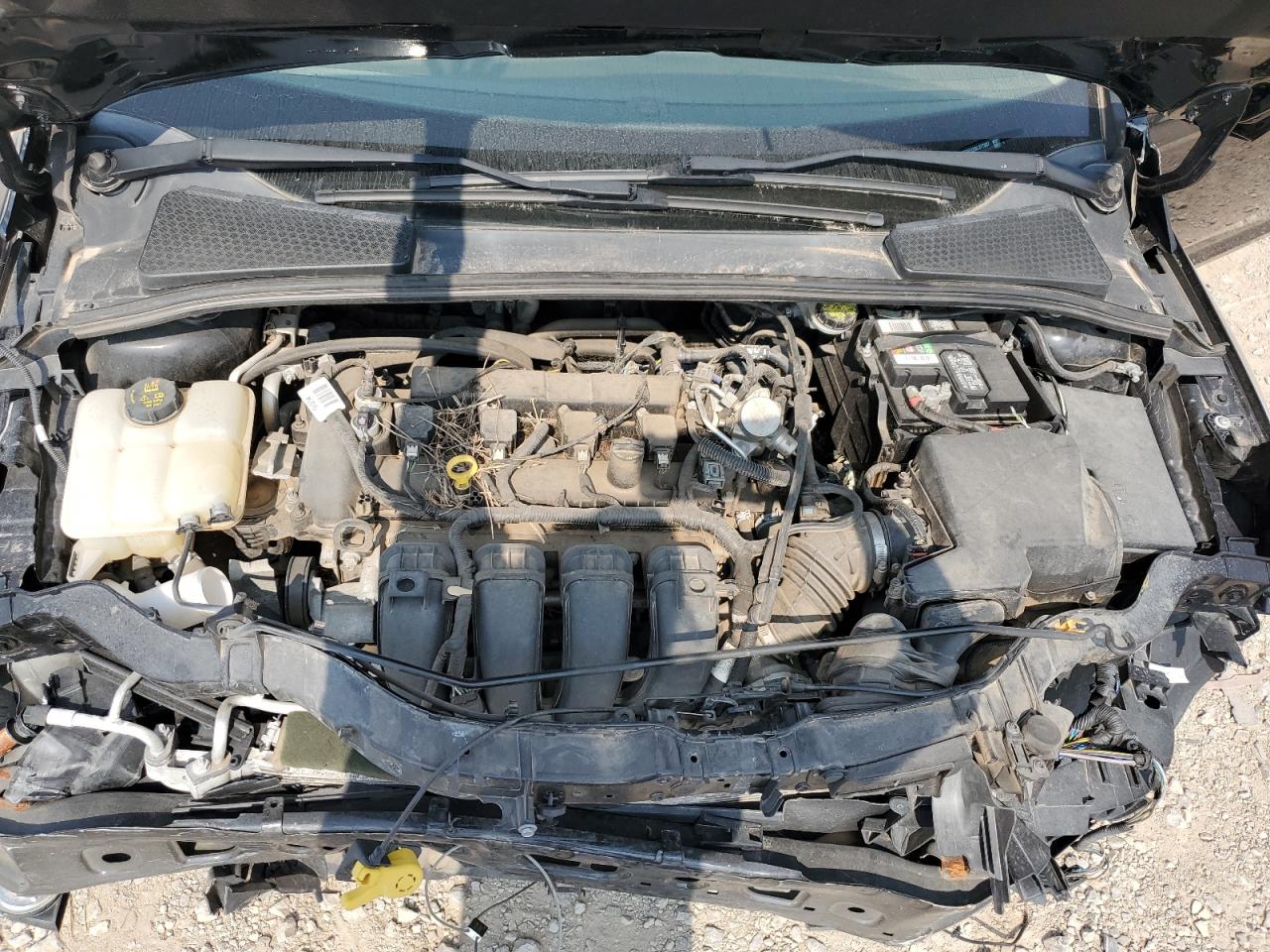 2016 Ford Focus Se VIN: 1FADP3F22GL377337 Lot: 64942354