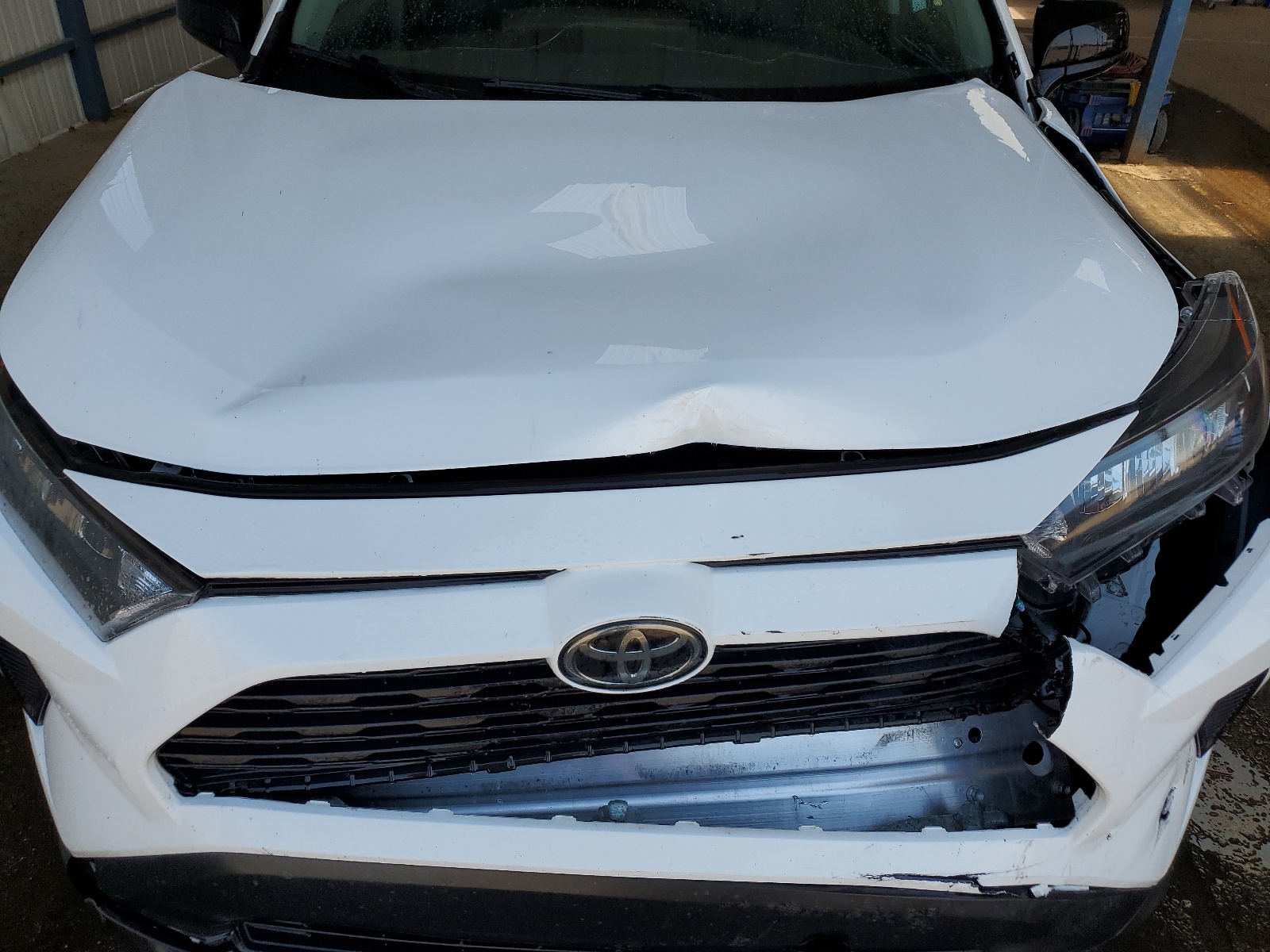 2019 Toyota Rav4 Le vin: 2T3F1RFV0KW058851