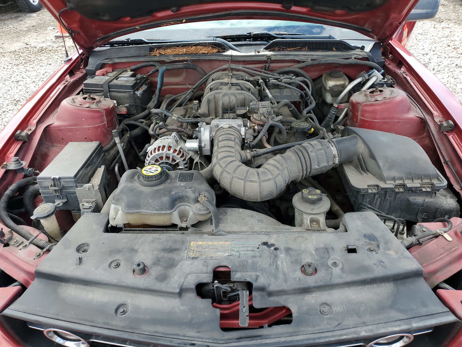 1ZVHT84N985195235 2008 Ford Mustang