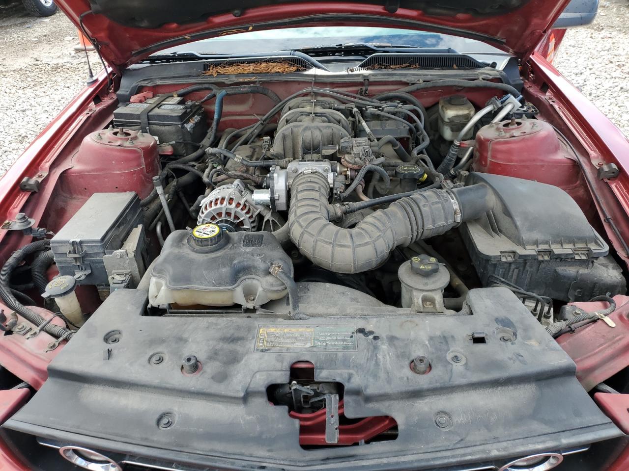 2008 Ford Mustang VIN: 1ZVHT84N985195235 Lot: 65780884