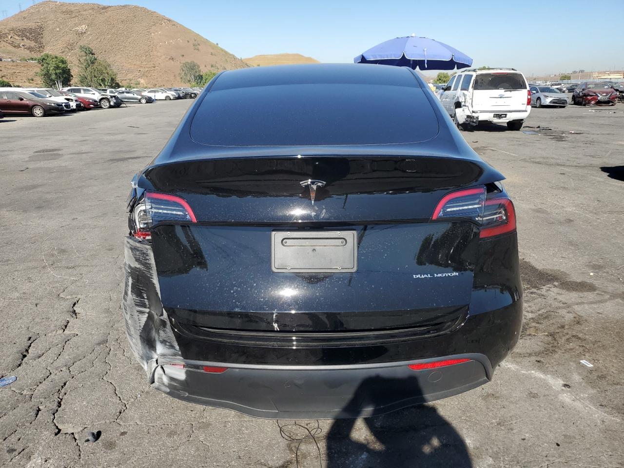 2023 Tesla Model Y VIN: 7SAYGAEE3PF772953 Lot: 60914474