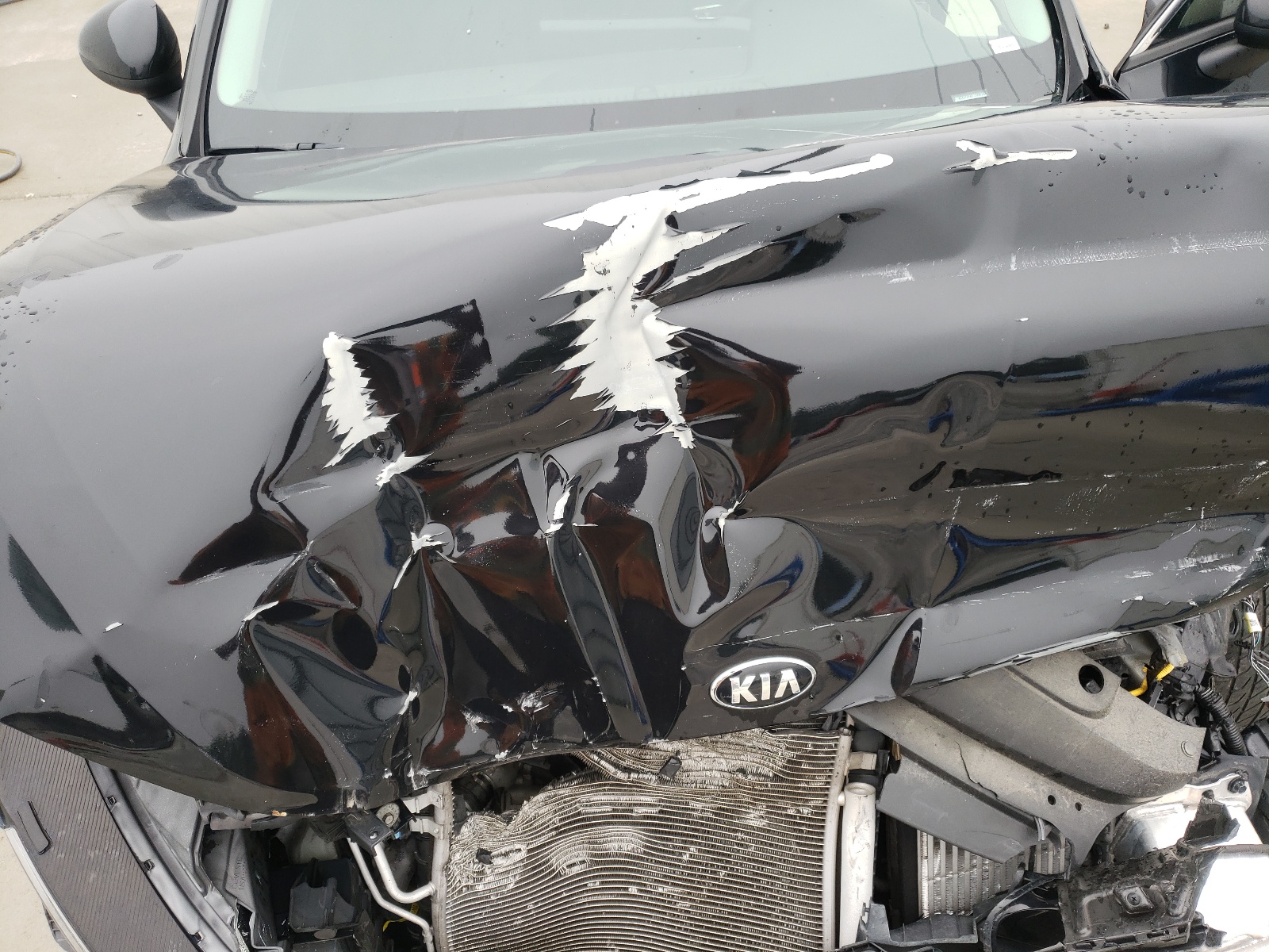 5XXG24J20MG011049 2021 Kia K5 Lx