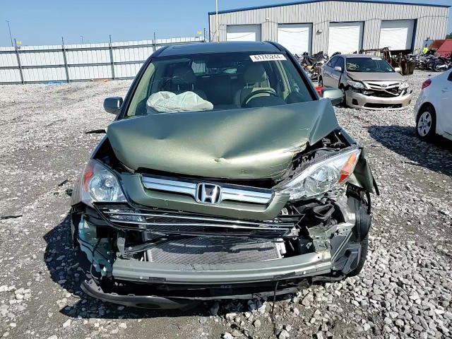 2007 Honda Cr-V Exl VIN: JHLRE48707C116263 Lot: 61745244