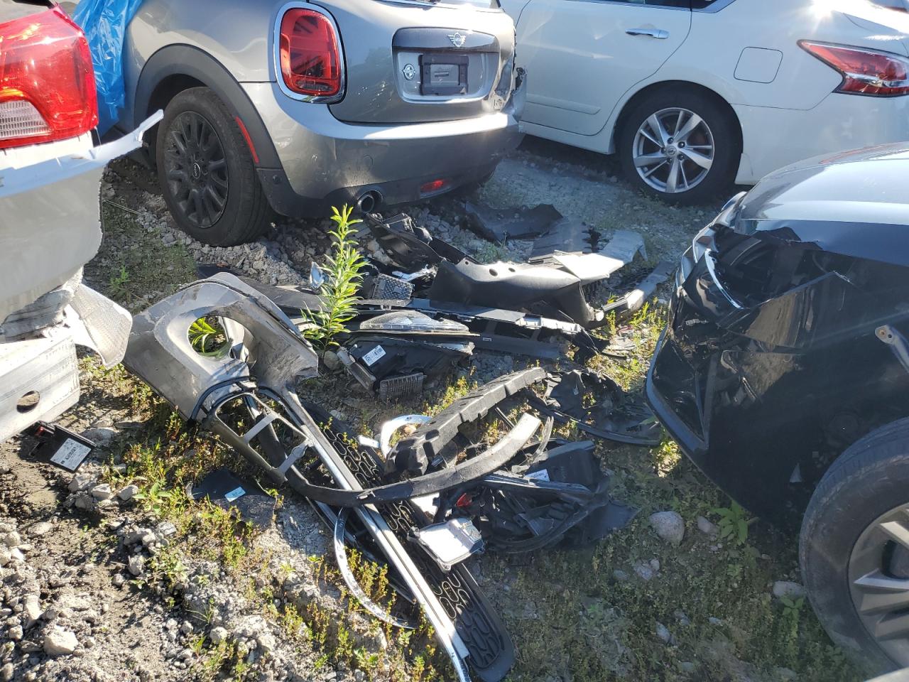 2019 Mini Cooper VIN: WMWXP5C52K2H96045 Lot: 60624064