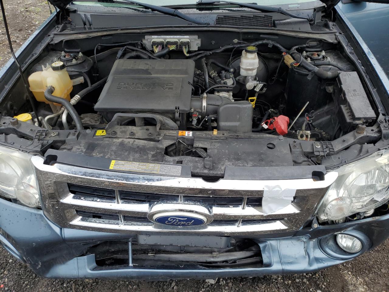 2011 Ford Escape Xlt VIN: 1FMCU9DG8BKA65453 Lot: 62681604