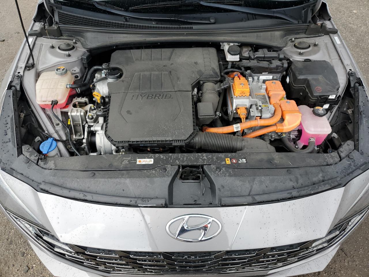 2022 Hyundai Elantra Limited VIN: KMHLN4AJ0NU024162 Lot: 63898864