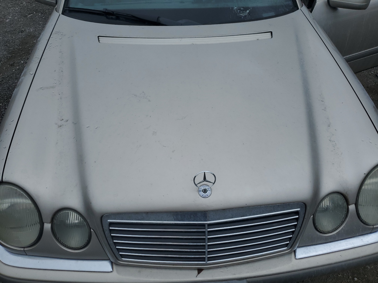 WDBJF55F4VA281698 1997 Mercedes-Benz E 320