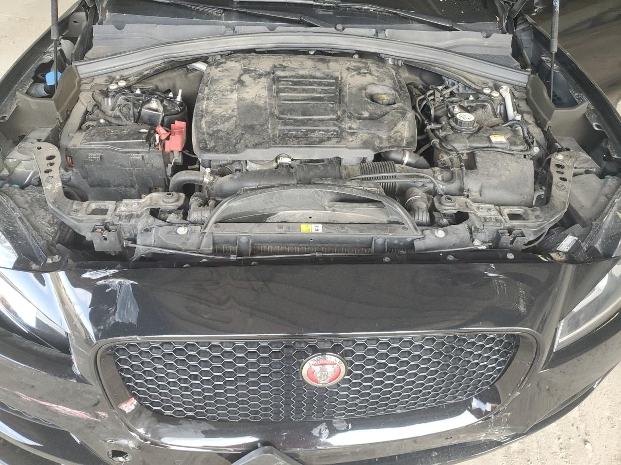 SADCJ2FX0KA602005 2019 Jaguar F-Pace Premium