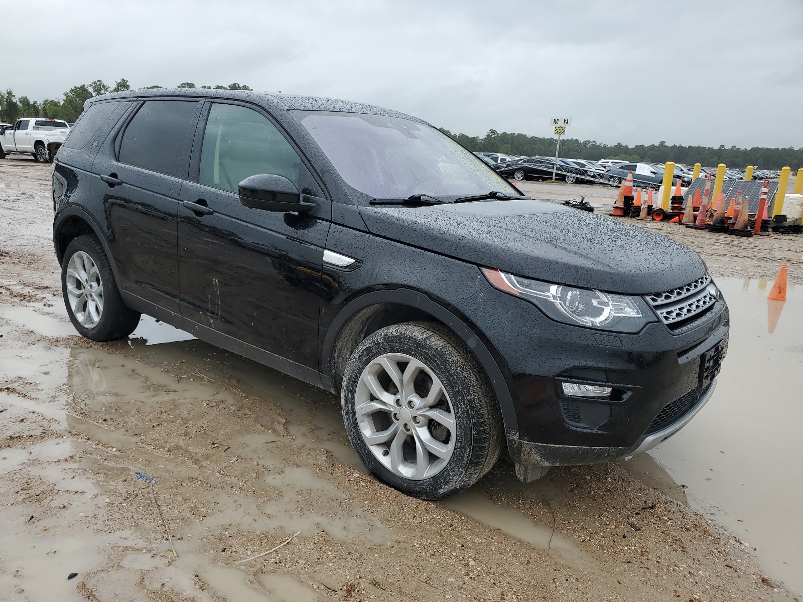 2019 Land Rover Discovery Sport Hse vin: SALCR2FX1KH793440