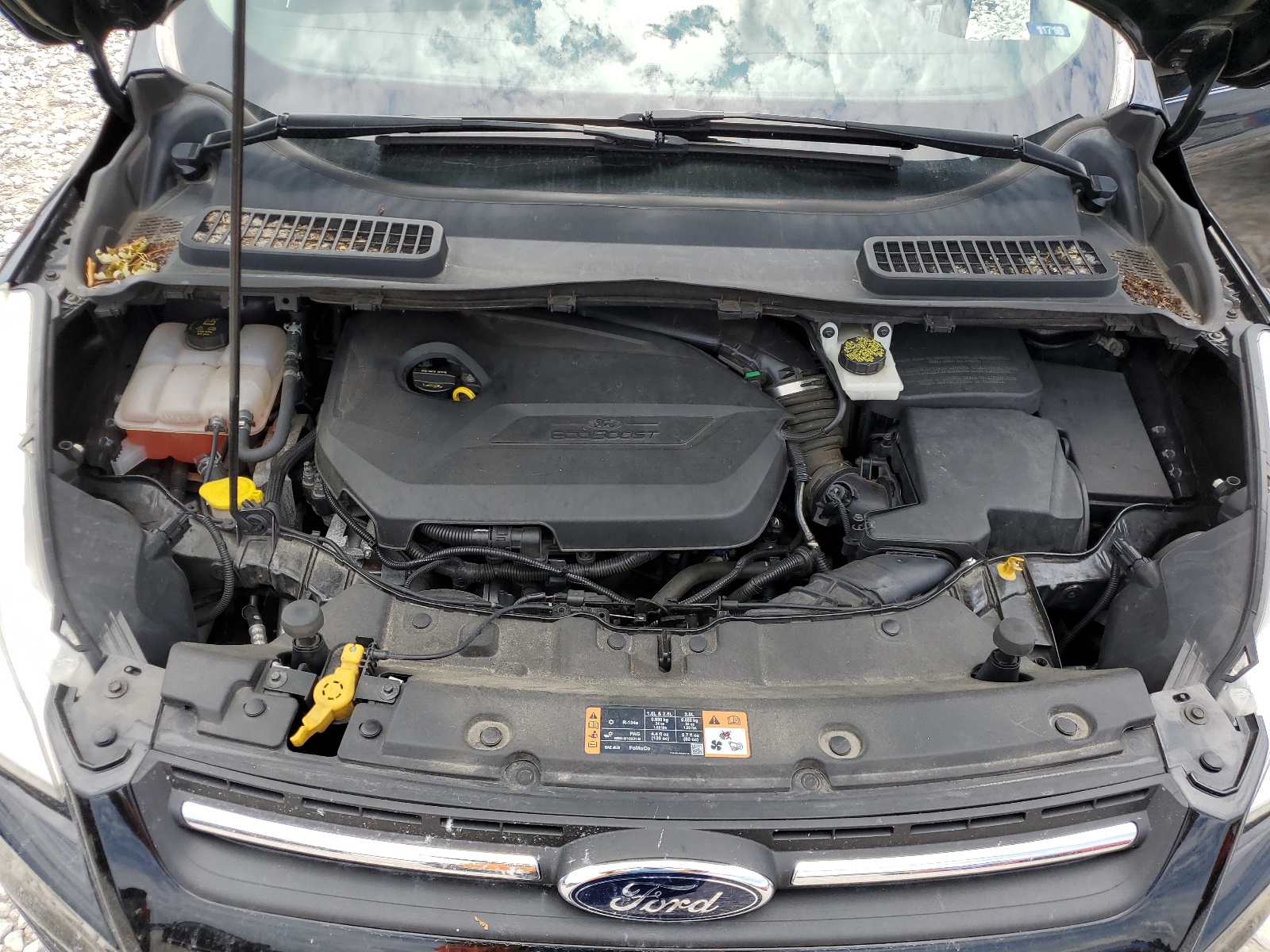 1FMCU0GX0EUB39576 2014 Ford Escape Se