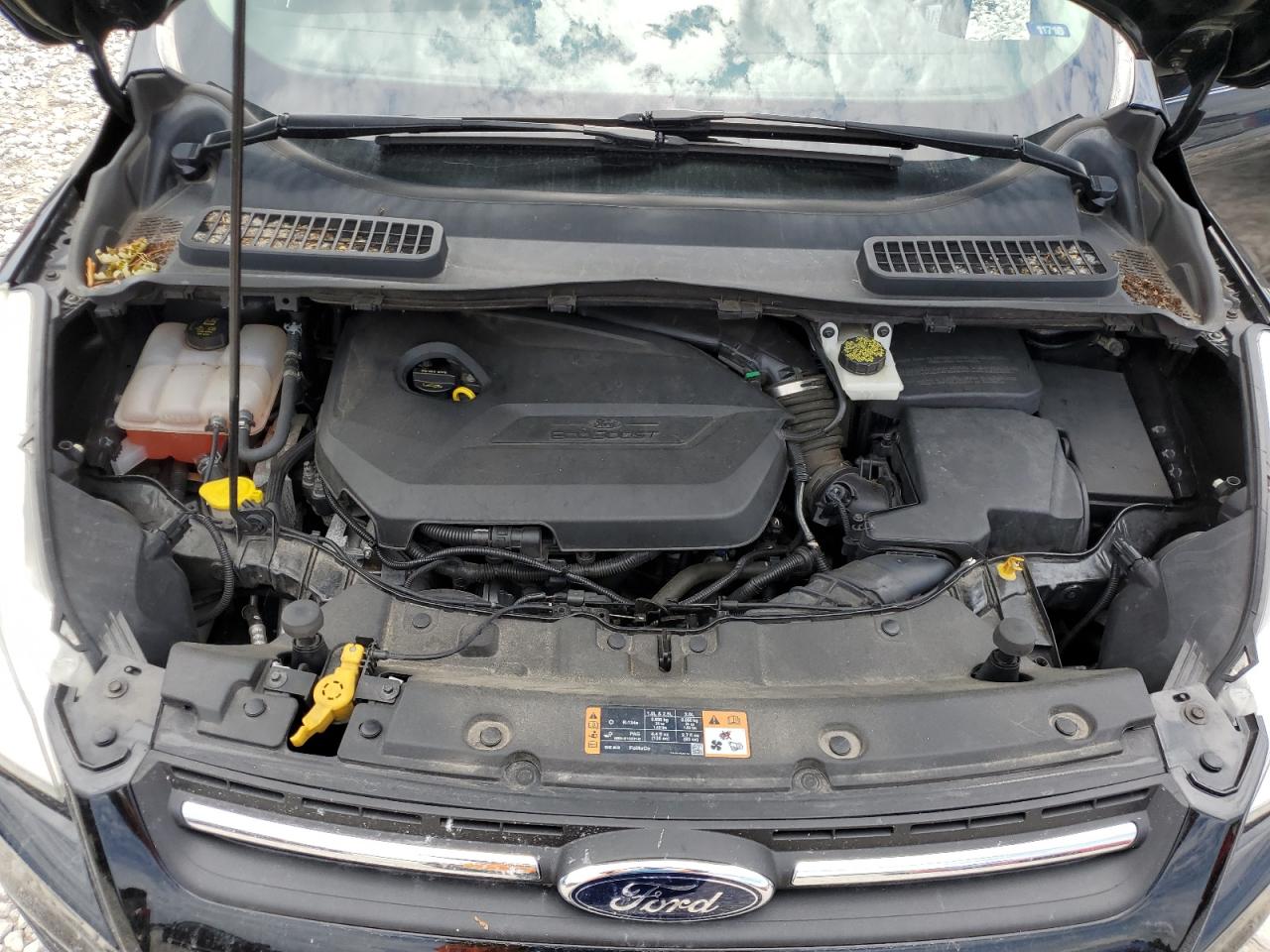 2014 Ford Escape Se VIN: 1FMCU0GX0EUB39576 Lot: 62341814