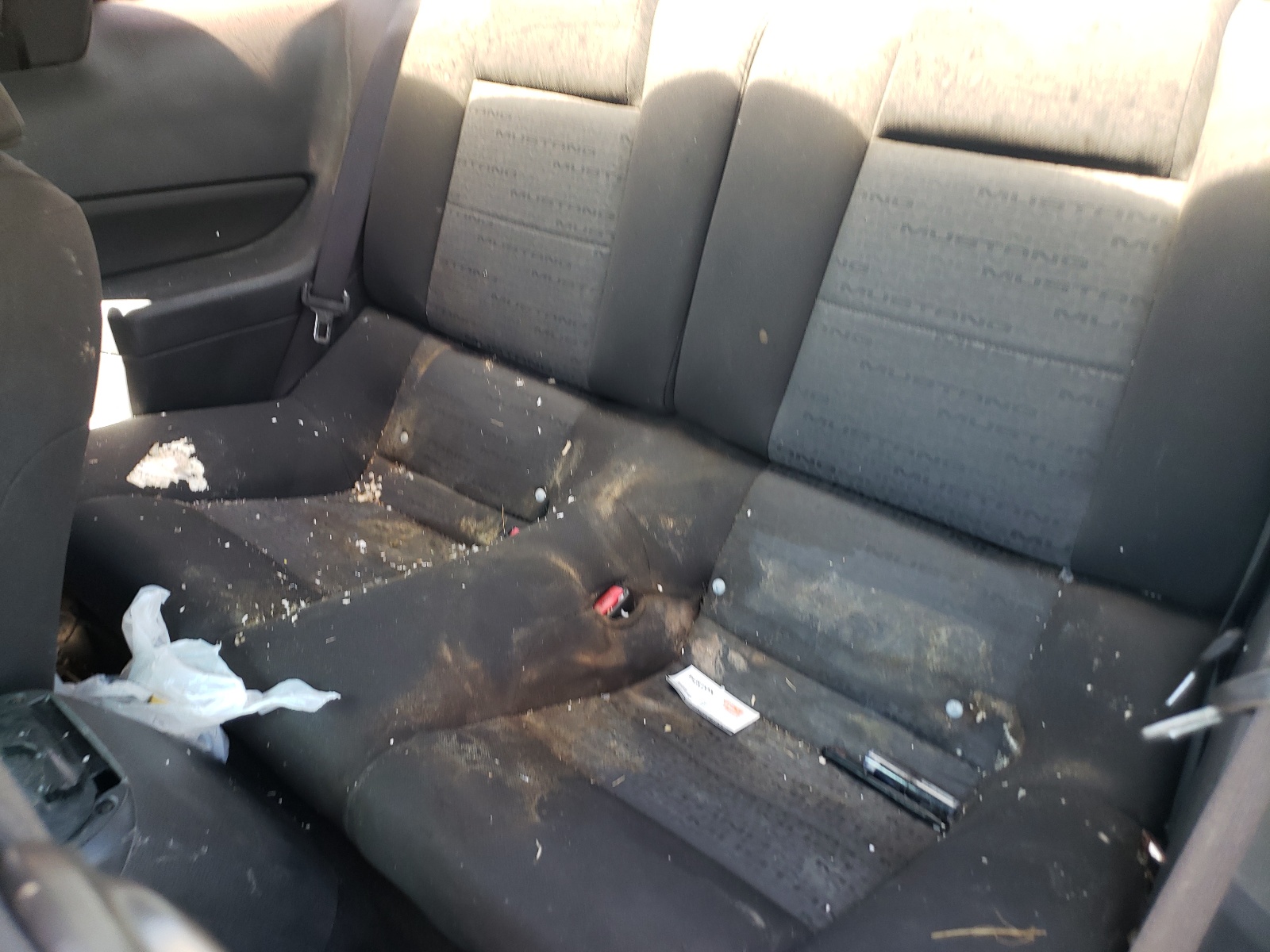 1ZVFT80N775198811 2007 Ford Mustang