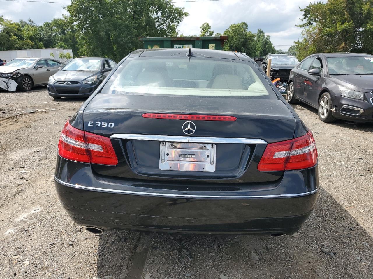 2010 Mercedes-Benz E 350 VIN: WDDKJ5GB9AF030631 Lot: 65252014