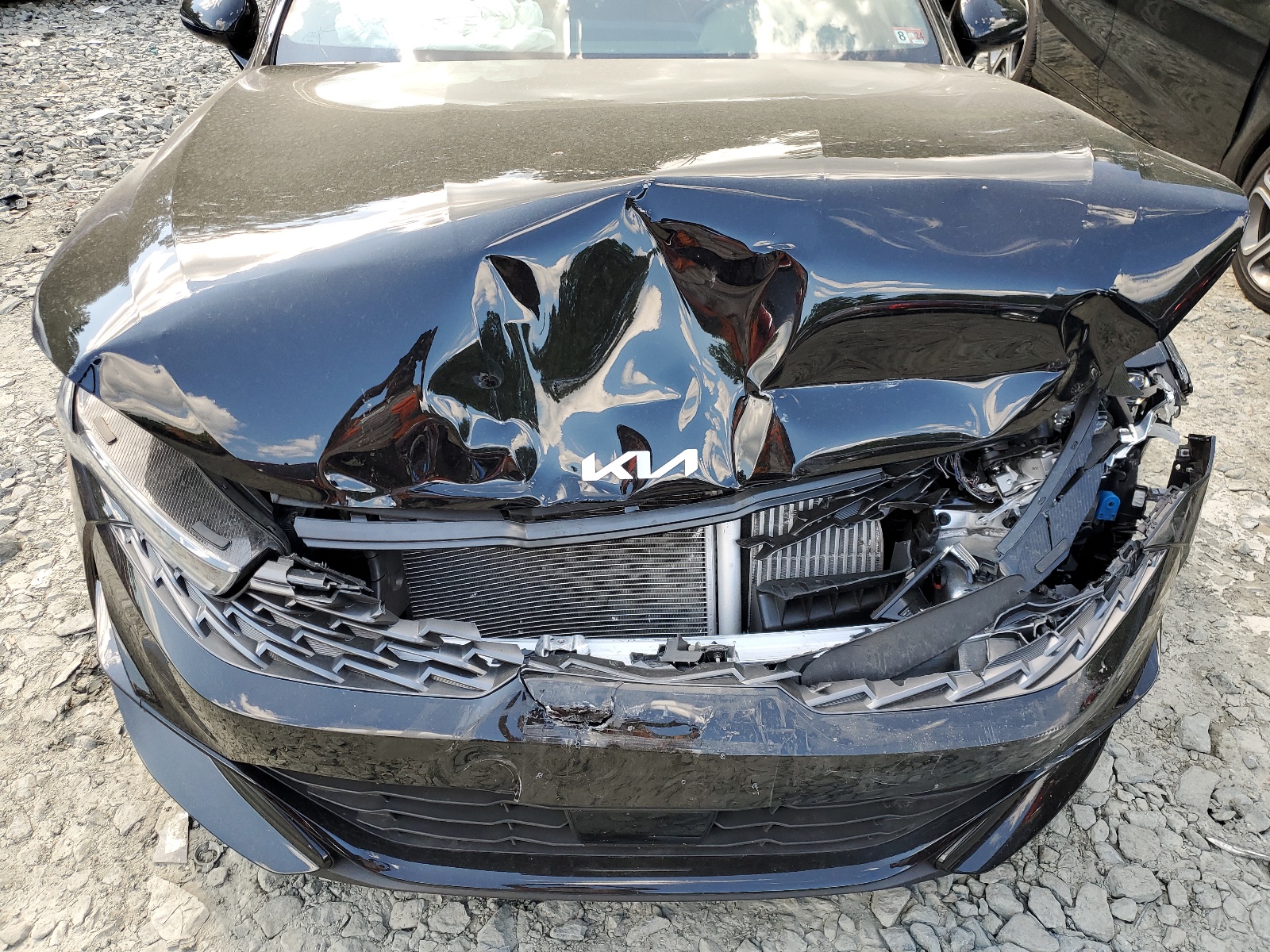 5XXG64J20RG237779 2024 Kia K5 Gt Line