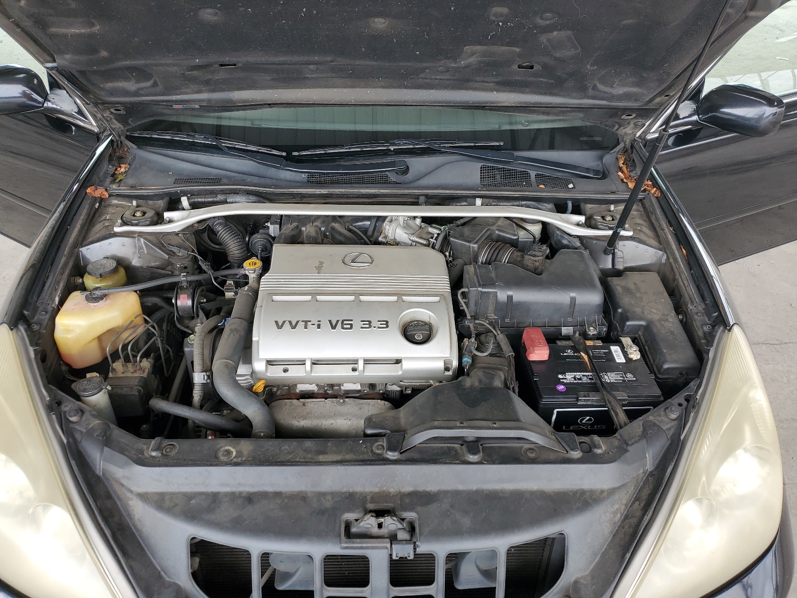 JTHBA30G445026998 2004 Lexus Es 330