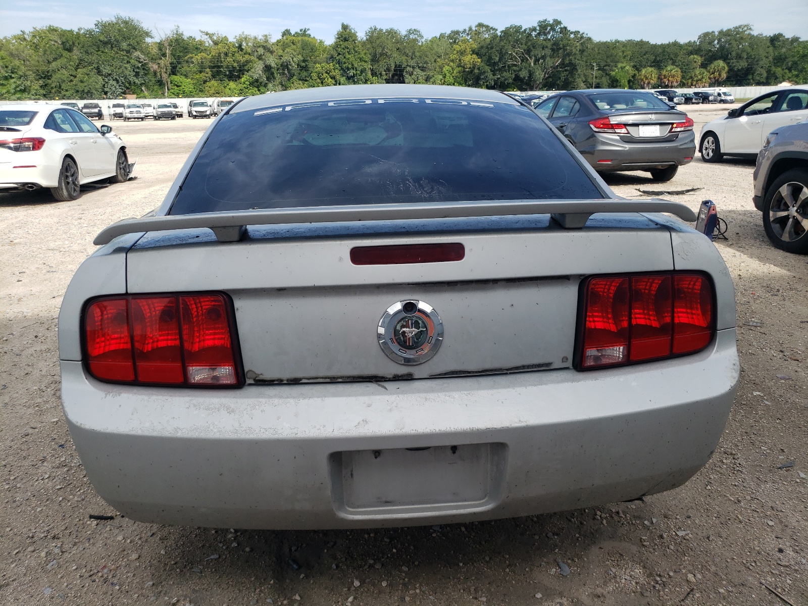 1ZVFT80N765263669 2006 Ford Mustang