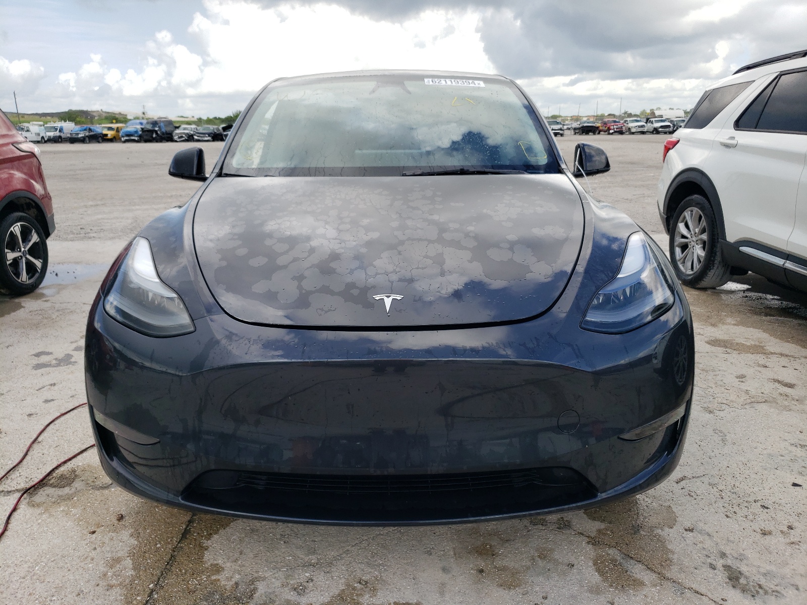 2024 Tesla Model Y vin: 7SAYGDED9RF001909