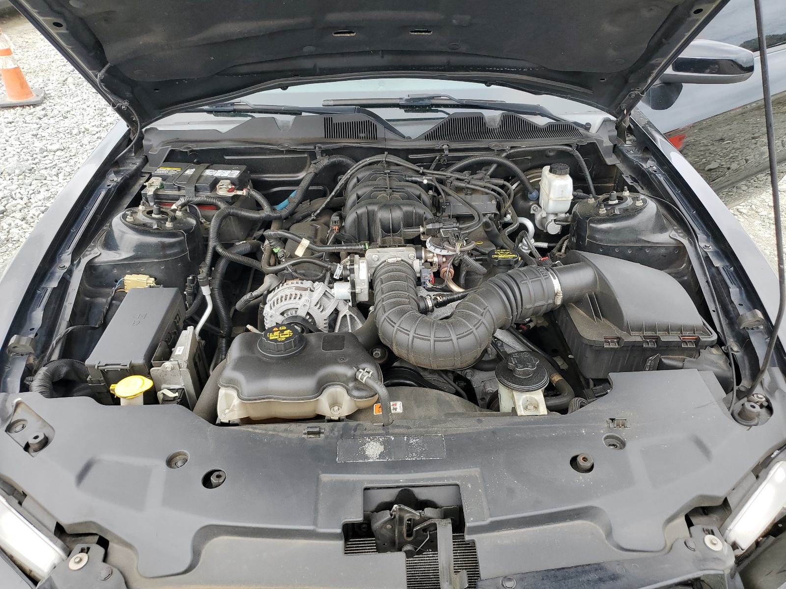 1ZVBP8ANXA5168646 2010 Ford Mustang