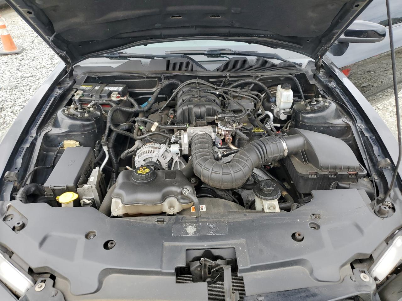 2010 Ford Mustang VIN: 1ZVBP8ANXA5168646 Lot: 64037634