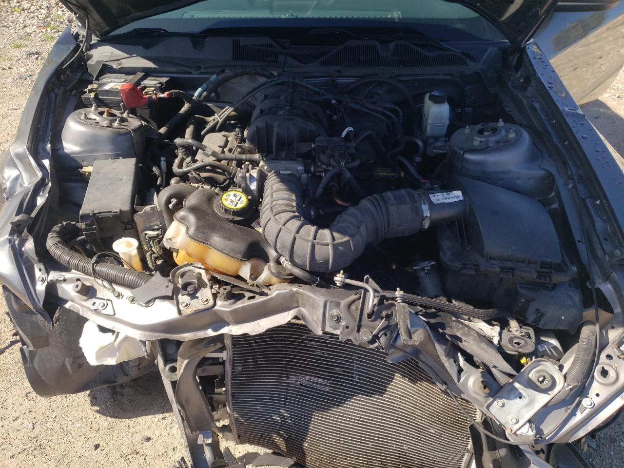 2010 Ford Mustang VIN: 1ZVBP8EN3A5122439 Lot: 63478744