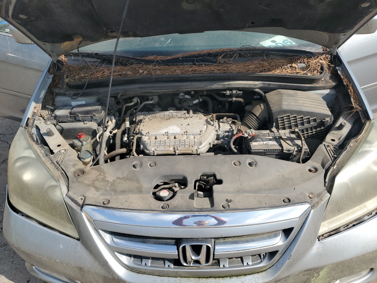 5FNRL38806B061305 2006 Honda Odyssey Touring