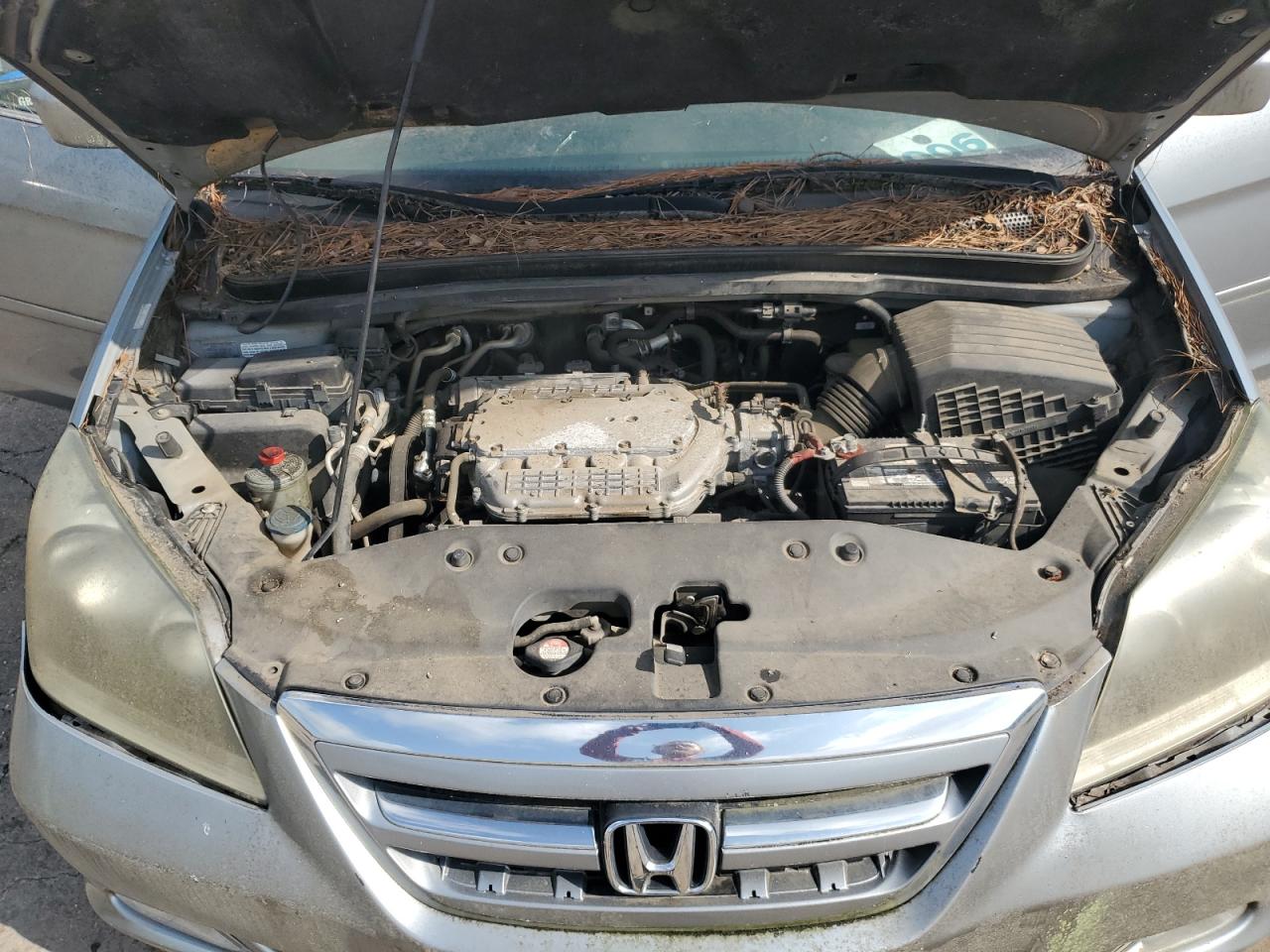 2006 Honda Odyssey Touring VIN: 5FNRL38806B061305 Lot: 64863484