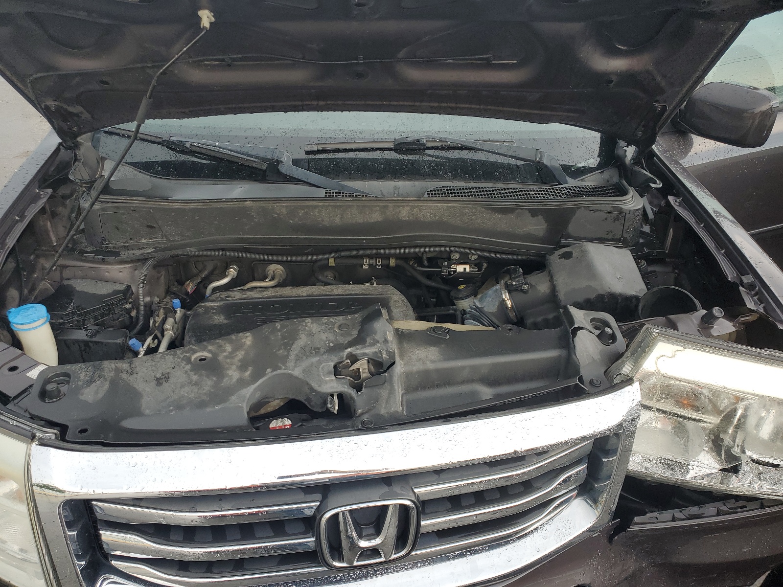 5FNYF4H61CB040286 2012 Honda Pilot Exl