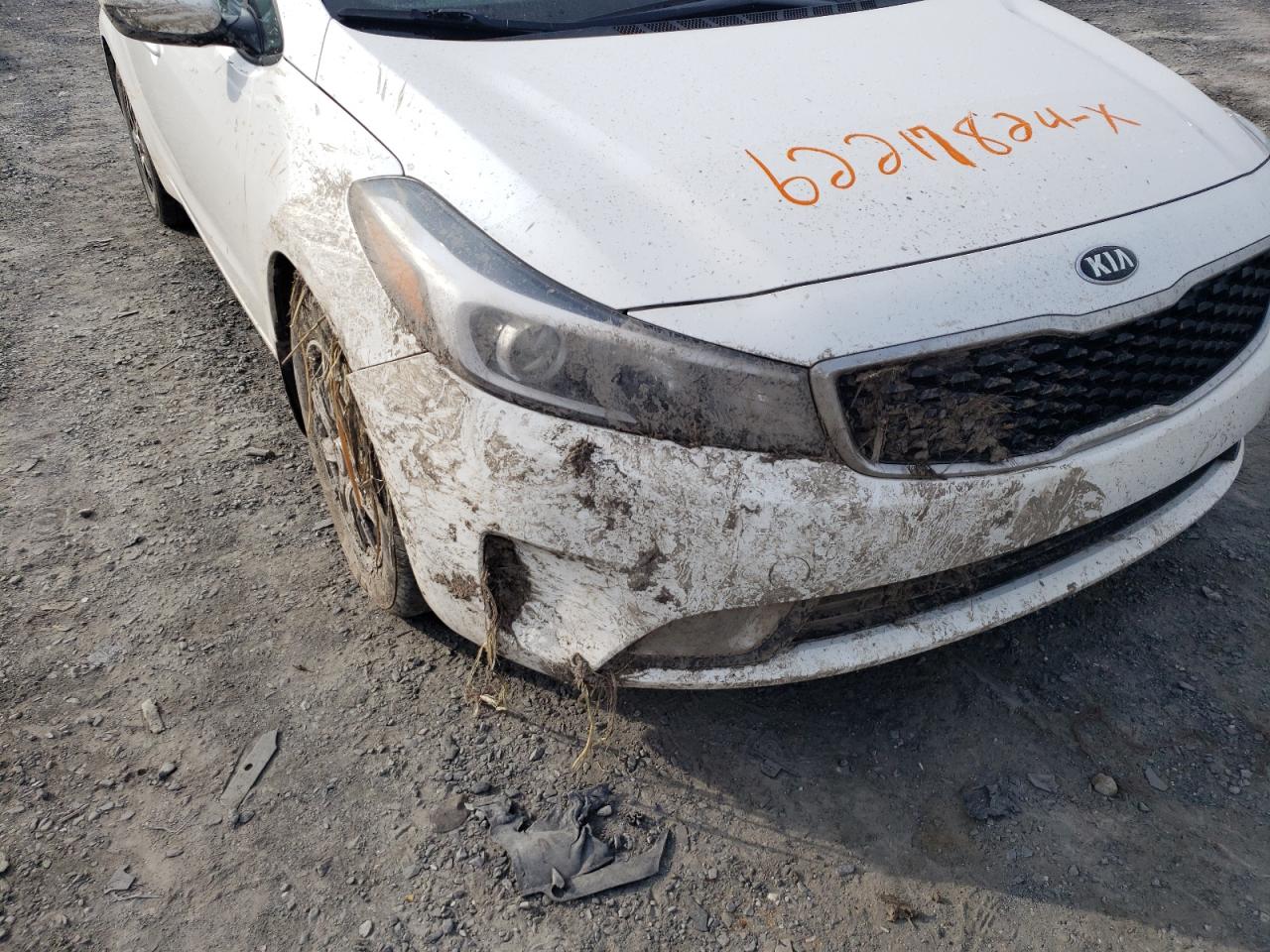 2017 Kia Forte Lx VIN: 3KPFL4A77HE072594 Lot: 62217824