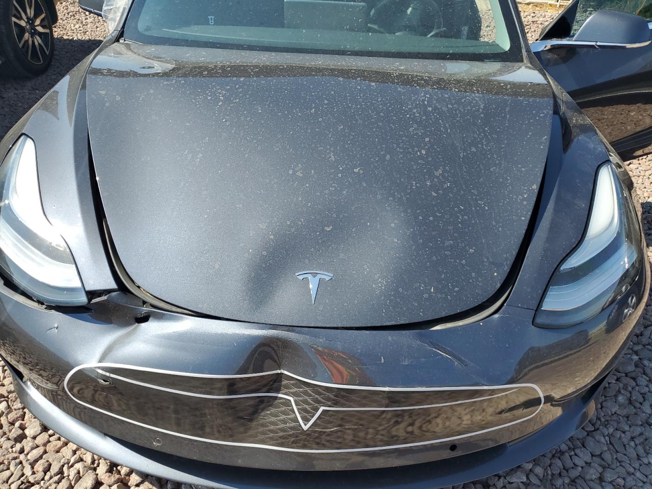 2019 Tesla Model 3 VIN: 5YJ3E1EAXKF400173 Lot: 62125424