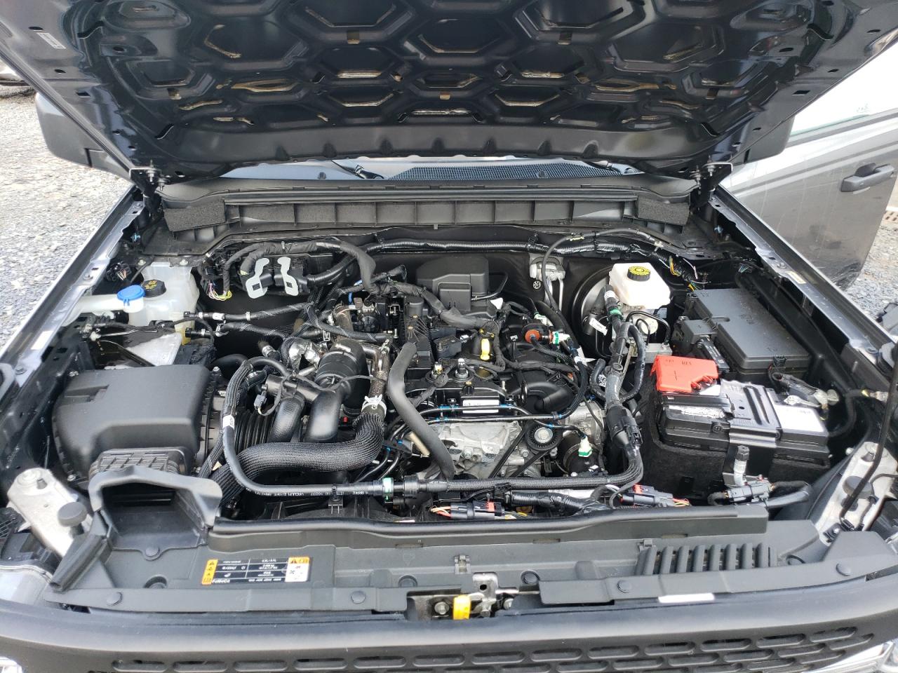 2023 Ford Bronco Base VIN: 1FMDE5BH1PLB19926 Lot: 63532694