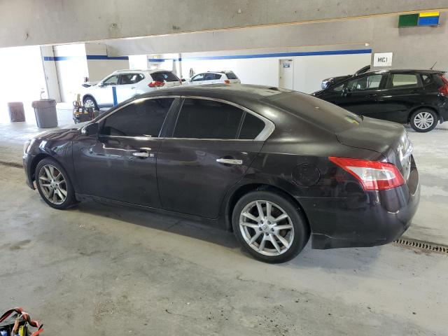 1N4AA5AP5AC810708 | 2010 Nissan maxima s