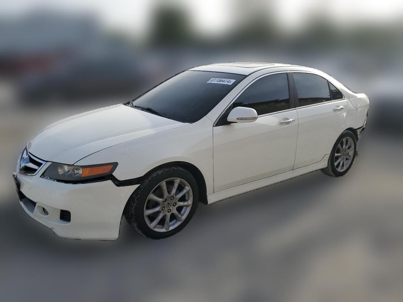 2006 Acura Tsx VIN: JH4CL96876C032181 Lot: 61186474