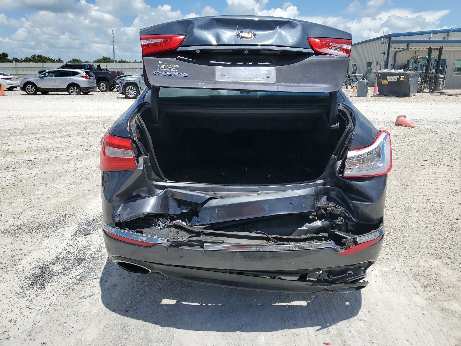 KNALN4D71F5195516 2015 Kia Cadenza Premium