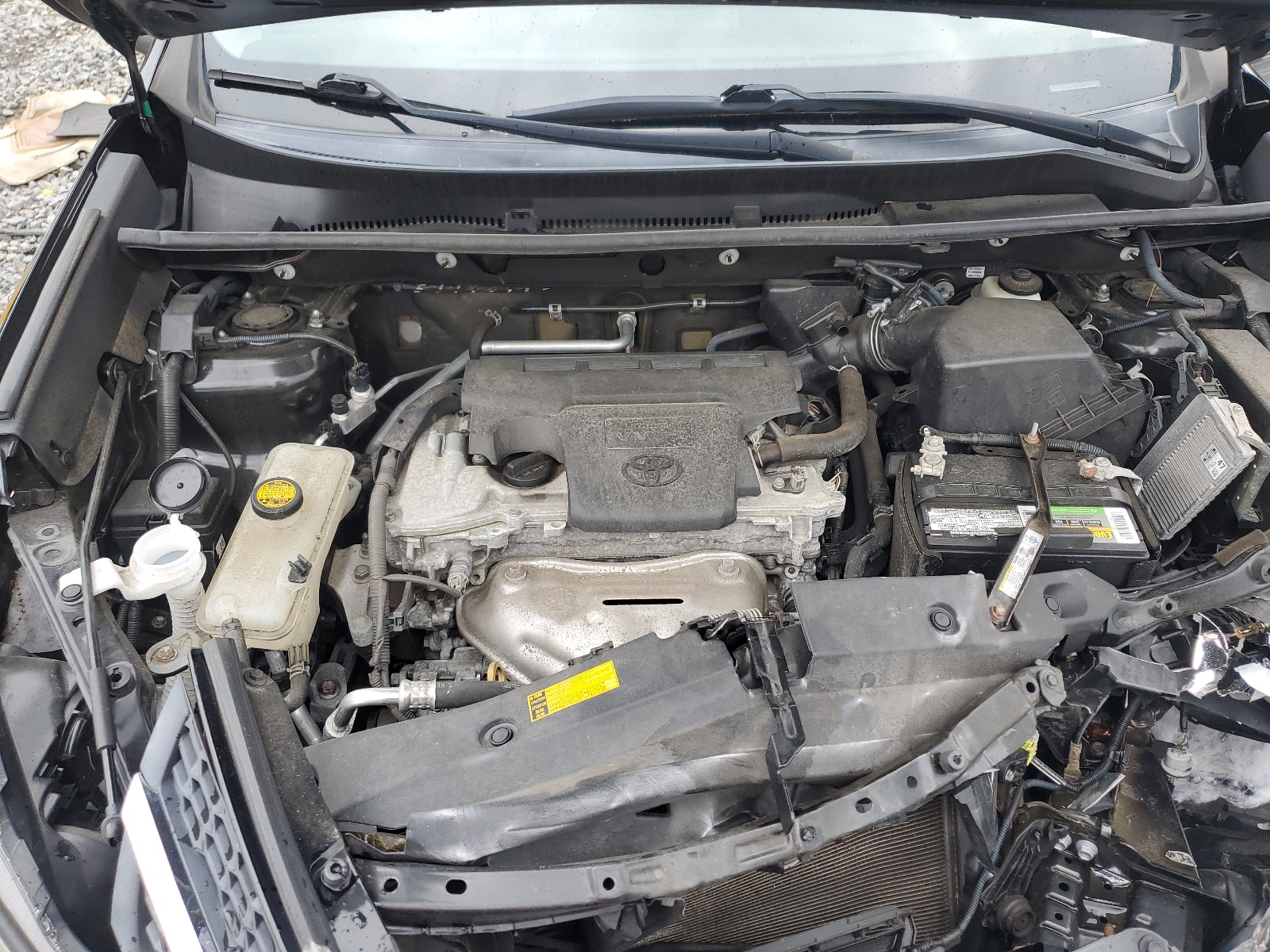 2T3BFREV1FW350449 2015 Toyota Rav4 Le