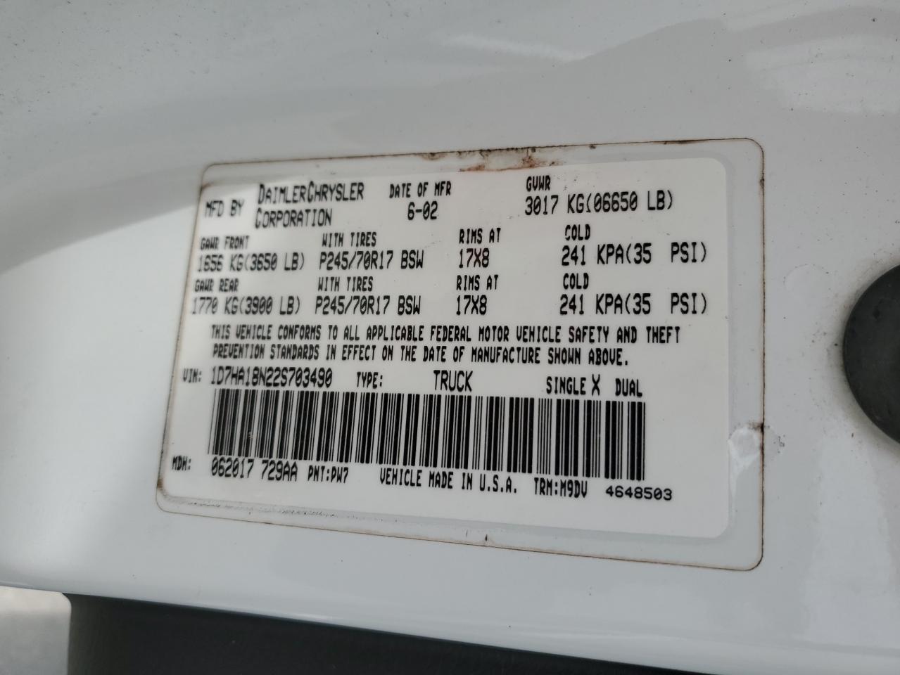 2002 Dodge Ram 1500 VIN: 1D7HA18N22S703490 Lot: 64842464