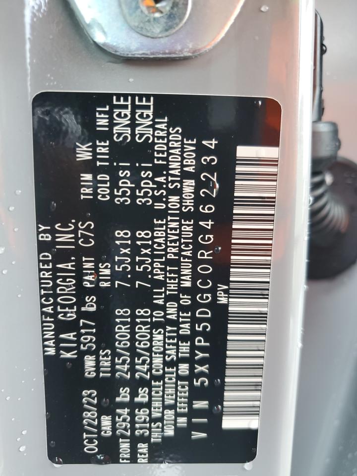 2024 Kia Telluride Sx VIN: 5XYP5DGC0RG462234 Lot: 61014504