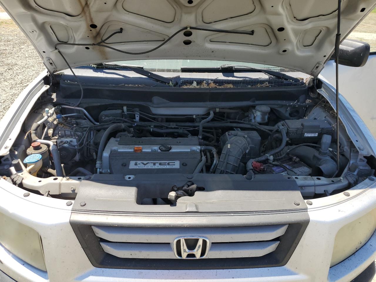 2008 Honda Element Ex VIN: 5J6YH18718L009152 Lot: 61903024