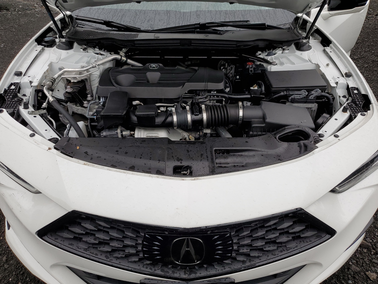 19UUB6F59PA001378 2023 Acura Tlx A-Spec