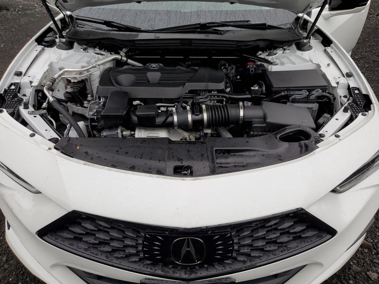 2023 Acura Tlx A-Spec VIN: 19UUB6F59PA001378 Lot: 64612714